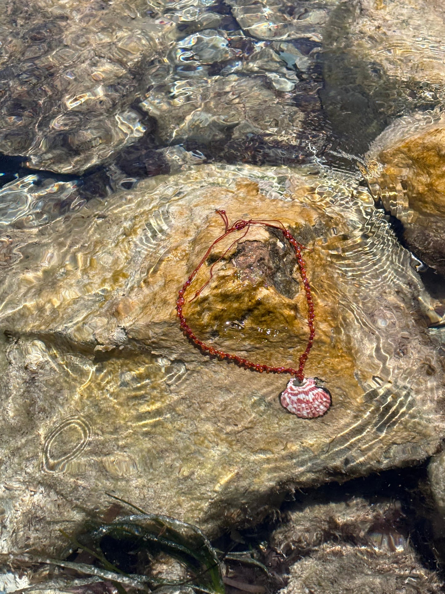 mermaid's treasure